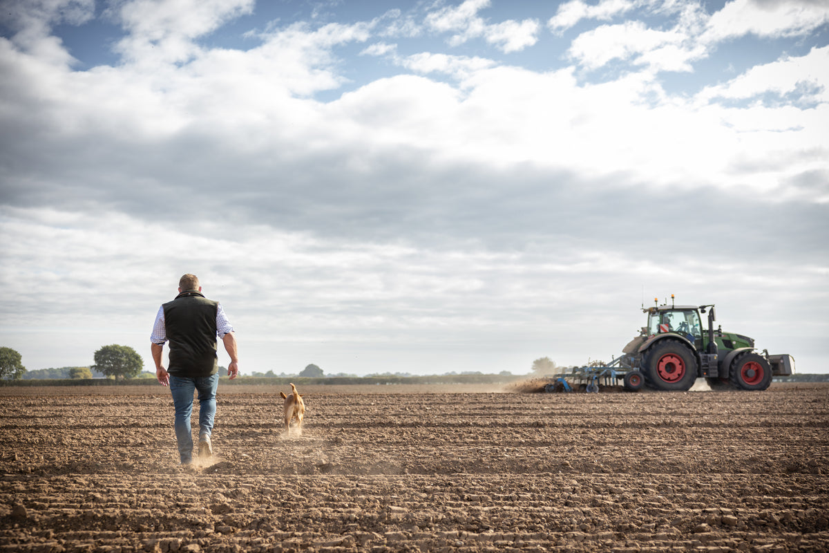 Tom Youngs and his dog walking across a cultivated field towards a tractor under big Norfolk skies