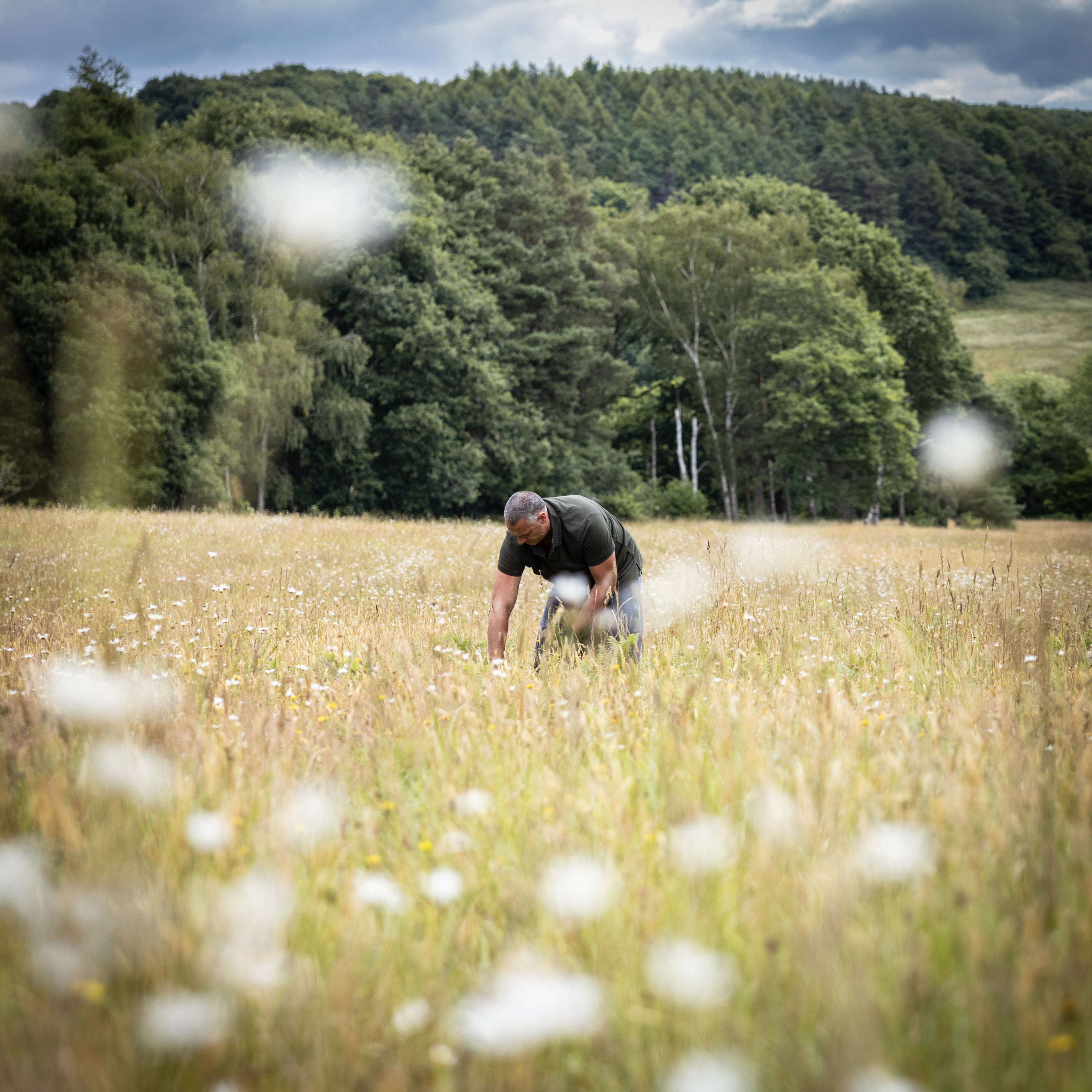Man bending over in a field of tall grass and wildflowers with trees in the background