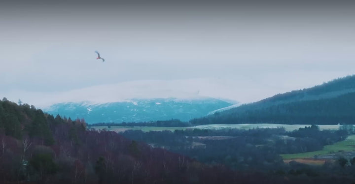 A video showcasing a group enjoying the outdoors in the Scottish highlands