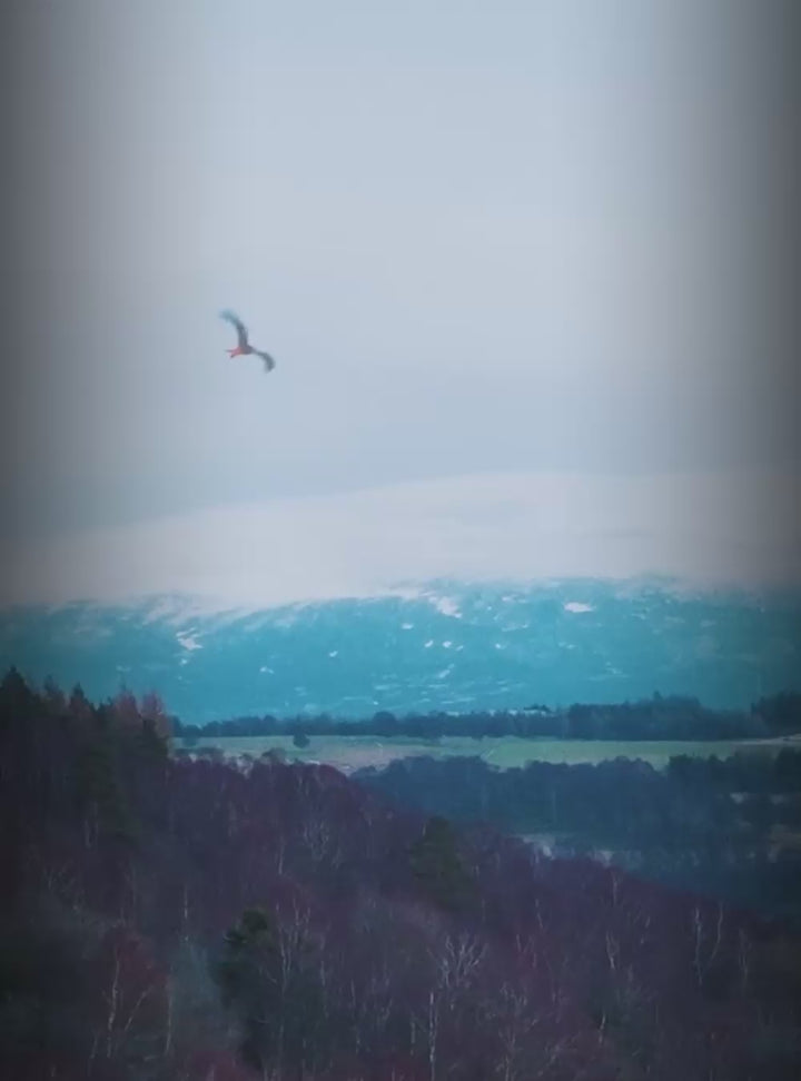 A video showcasing a group enjoying the outdoors in the Scottish highlands